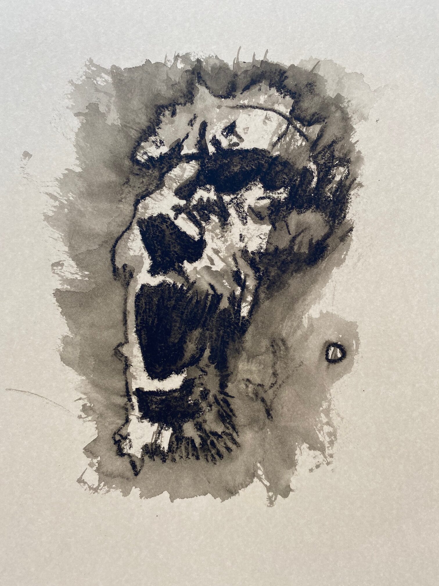 Cours de fusain : Des ombres à la lumière